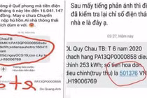 Giám đốc đơn vị ghi sai số điện bị đình chỉ chức vụ