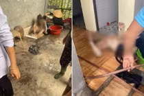 Chồng đổ xăng đốt phòng ngủ khiến 3 người bỏng nặng