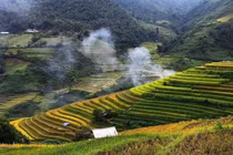 Những cuộc gặp gỡ không thể quên
