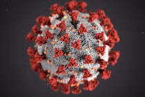 Mỹ xây dựng mô hình mô phỏng phân tử virus SARS-CoV-2