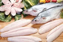 Cá tra có giống cá basa?