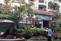  Lẽ nào sân trường vắng bóng cây xanh?