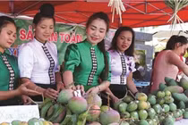 Phát triển thương mại miền núi, vùng sâu, vùng xa và hải đảo