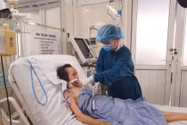 Nhiễm trùng huyết, suy hô hấp vì mò cắn
