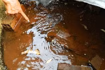 Xử lý nước bị nhiễm amoni