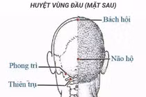 Điểm huyệt trị đau mỏi xương khớp mùa dịch