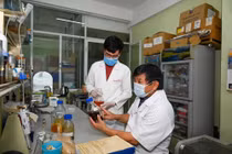 Việt Nam tiến hành thử nghiệm lâm sàng thuốc trị Covid-19