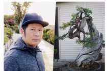 Nhà Bằng Kiều tại Mỹ bị trộm đột nhập "khoắng" cây cảnh siêu đắt đỏ