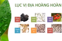 6 vị thần dược bổ âm