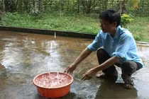 Hệ thống xử lý nước mưa khép kín