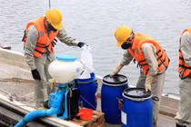 Con ông Nguyễn Đức Chung rút lui trước khi Arktic mua Redoxy 3C cho Hà Nội