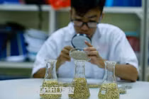 Ngân hàng giống cây trồng