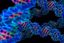 Tìm ra gene giúp bảo vệ người mắc COVID-19 chuyển nặng