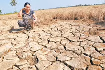 Đề phòng hạn hán trong năm 2019