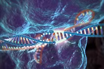 Cẩn trọng với công nghệ chỉnh sửa gene