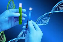 Ý nghĩa của ADN ty thể trong giám định gene