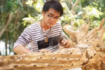 Trồng dó bầu lấy trầm hương