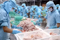 VASEP: Khả năng xuất khẩu cá tra sang thị trường EU tiếp tục giảm trong tháng tới