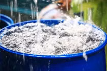 Dùng nước mưa đúng chuẩn