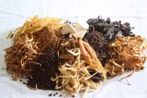  Thuốc Đông y trị liệu ung thư gan thể can