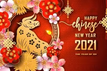 Bí mật tử vi Tân Sửu năm 2021 