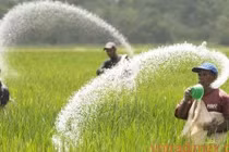 Quy trình xanh sản xuất amoniac từ chất thải 