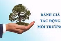 Đánh giá tác động môi trường phải được công khai