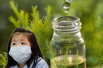 Dầu gió phòng virus