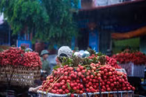 Trung Quốc nhập vải thiều Thái Lan ở mức 1,17USD/kg, nhập từ Việt Nam giá 0,35USD/kg