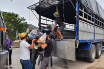 Nhiều tỉnh quá tải khi trung chuyển người dân đi xe máy về quê