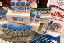 Vắc-xin dịch tả lợn châu Phi Việt Nam lưu hành thương mại giá từ 34.000 - 36.000 đồng/liều