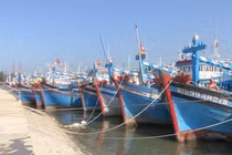 Ảnh minh họa
