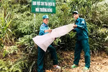 Mục tiêu nguồn thu dịch vụ môi trường rừng đạt 2.800 tỷ đồng