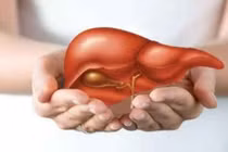 Chỉ số đánh giá men gan