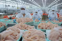 15,5 tỷ USD hàng nông lâm thủy sản Việt Nam xuất đi đâu trong thời dịch COVID-19?