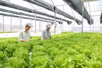 Bộ NN&PTNT xin trả lại hơn 1.800 tỷ vốn đầu tư công