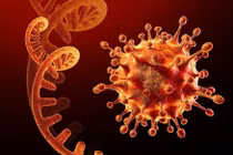 Châu Âu sẽ chuyển sang theo dõi virus cùng các biến thể của nó 