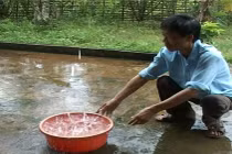 Hứng nước mưa đúng cách