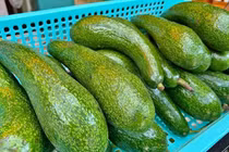 Đặc sản bơ 034 hạ giá 25.000 đồng/kg 