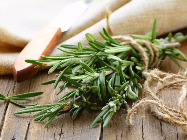 Kinh ngạc loại thảo mộc là “khắc tinh” của ung thư - Hình 3