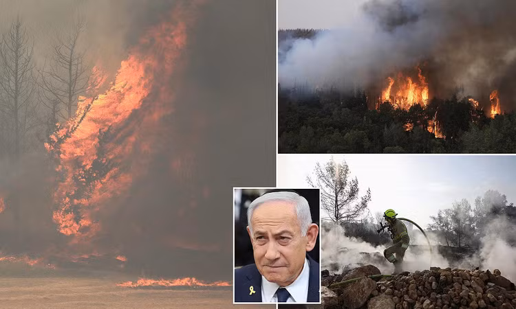 Chay rung lon nhat lich su, Israel ban bo tinh trang khan cap