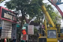 Tai nạn lao động tại Gia Lai khiến 1 người tử vong và 2 bị thương