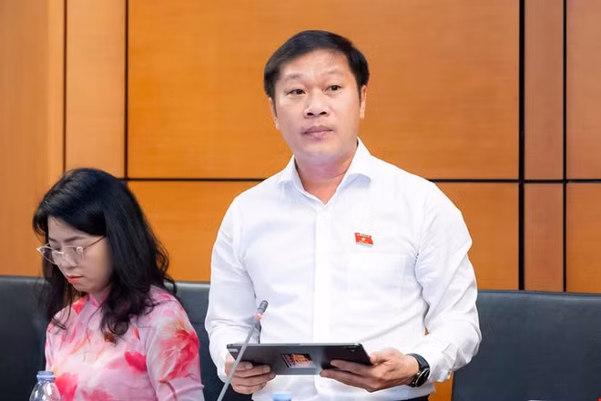 Đại biểu Nguyễn Khánh Vũ