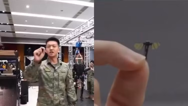 china-developed-mosquito-sized.jpg