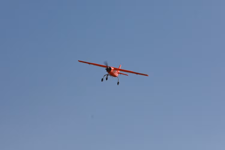 viet8331.jpg