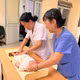 Hà Nội giảm tỷ lệ suy dinh dưỡng trẻ dưới 5 tuổi qua các chiến dịch và can thiệp