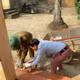 Hà Nội đẩy mạnh tiêm vắc xin và quản lý vật nuôi để phòng bệnh dại