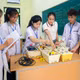 Nâng cao chất lượng và tự chủ của trung tâm giáo dục 