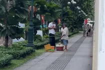Công an TP HCM làm rõ vụ bán dừa giá cao cho du khách nước ngoài