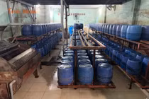 Hơn 1.000 tấn giá đỗ tẩm hóa chất cấm bị bắt giữ tại TP HCM